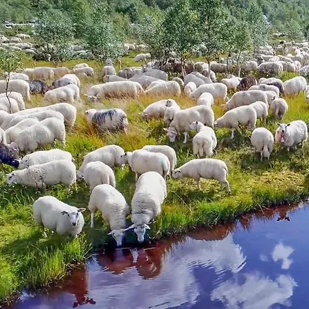 69 Close To Kjerag *